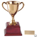 CUP TROPHY (GOLD)